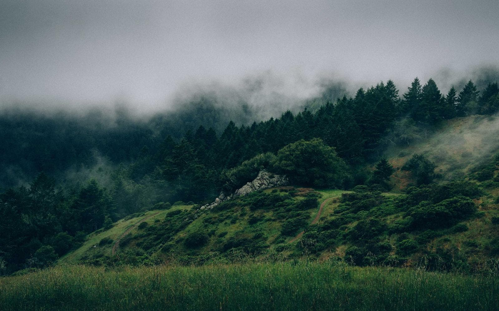 Low cloud drifting over dark green forested hills